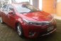 Toyota Corolla Altis 2014 for sale-1