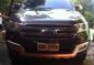 Ford Everest 2016 AT for sale-5
