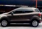 2015 Ford Ecosport for sale-2