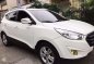 Hyundai Tucson 2010 for sale -1