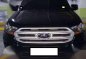 2017 Ford Everest Ambiente 4x2 Matic Personal Use Top of the line-0