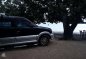 Mitsubishi Adventure 2001 mdl for sale -7