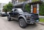 2010 Ford F-150 Raptor SVT for sale -0