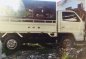 Isuzu Elf Pick-up FOR SALE-0