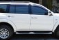 2009 Mitsubishi Montero Sports For sale -4