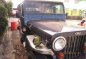 Owner Type Jeep 1979 for sale -3