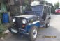 Owner Type Jeep 1979 for sale -0