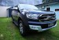 2017 Ford Everest for sale-0