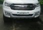 2017 Ford Everest for sale in Taytay-0