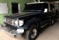 TOYOTA Land Cruiser LC73 FRP Top FOR SALE-1