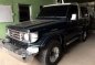 TOYOTA Land Cruiser LC73 FRP Top FOR SALE-0