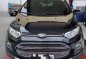 2015 FORD Ecosport Titanium (Top of the line)-1