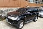 2010 Mitsubishi Montero for sale-0