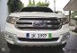 2016 Ford Everest Titanium 4x2 for sale-0