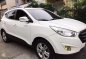 Hyundai Tucson 2010 Diesel AT for sale -0