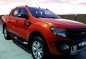 2013 Ford Wildtrack 4x4 MT FOR SALE-2