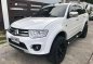 2014 Mitsubishi Montero for sale-0