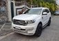 2015 Ford Everest for sale-3