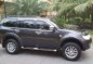 2010 Mitsubishi Montero for sale-6