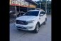 2017 Ford Everest for sale-0