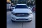 2017 Ford Everest for sale-1