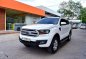 2017 Ford Everest for sale-1