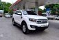 2017 Ford Everest for sale-0