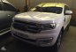 2017 Ford Everest for sale-1