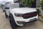 2016 Ford Everest for sale-0