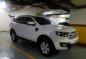 Well-maintained Ford Everest 2017 MT for sale-2