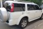 Ford Everest 2009 for sale-3