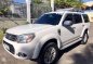 2015 Ford Everest for sale-2