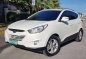 Hyundai Tucson 2010 for sale-0