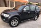 2012 Mitsubishi Montero for sale-0