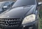 2010 Mercedes Benz ML 350 for sale-0