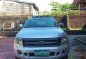 2014 Ford Wildrakk 4x4 For sale-2