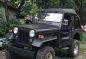 Well-kept JEEp ala cardo dalisay for sale-0