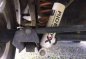 Well-kept jimny for sale-3
