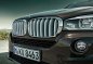 Bmw X5 Xdrive25D 2018 for sale-10