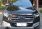 2017 Ford Everest for sale-6