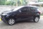 2015 Ford Ecosport for sale-2