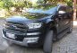 2017 Ford Everest for sale-5