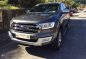 2017 Ford Everest Titanium Premium Plus-2