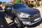 2017 Ford Everest Titanium Premium Plus-1