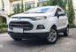 2014 Ford EcoSport 1.5 Titanium AT P548,000 only!!!-5