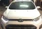 2015 Ford Ecosport Top of the line TITANIUM-11