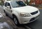 Ford Escape xlt 2010 for sale-3