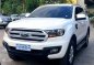 2018 Ford Everest for sale-0