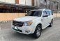 2010 Ford Everest for sale-6
