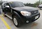 2015 Ford Everest Limited AT for sale-0